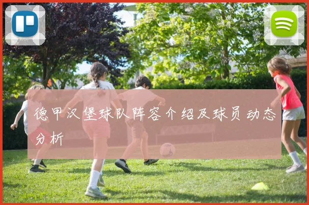 德甲汉堡球队阵容介绍及球员动态分析