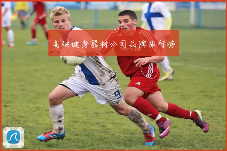 高端健身器材公司品牌排行榜