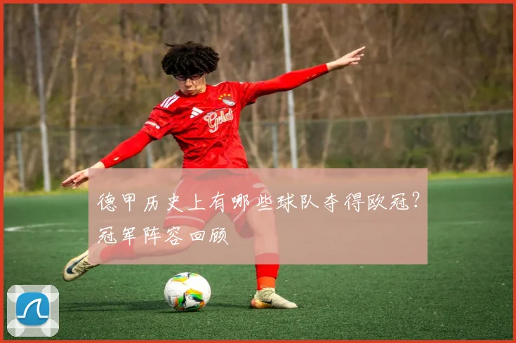 德甲历史上有哪些球队夺得欧冠？冠军阵容回顾