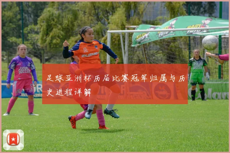 足球亚洲杯历届比赛冠军归属与历史进程详解